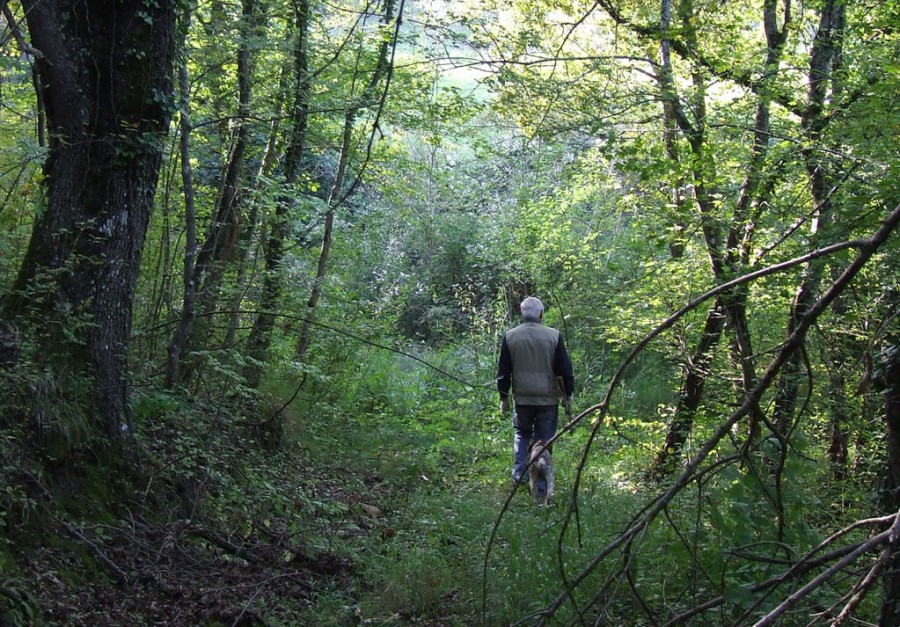 Pescopennataro, 6000 euro di multa a cavatore di tartufo sprovvisto di permesso