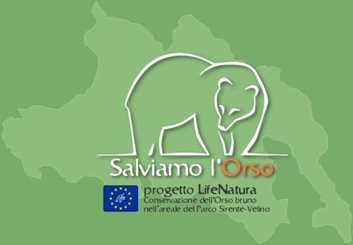 'Salviamo l'Orso' replica a Mariani: "dichiarazione di luoghi comuni che non rappresenta la realtà"