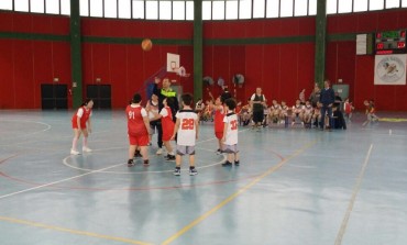 Minibasket,  Castel di Sangro e Isernia 'In Movimento' al Palazzo dello Sport