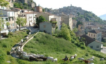 4 giorni di transumanza dal Molise alla Puglia con i Colantuono di Frosolone