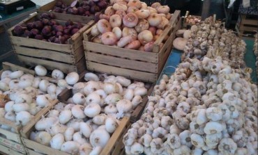 Cipolla re'Sernia e Onion Pride alla fiera d'Isernia del 28 giugno