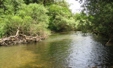 WWF: "La gestione dell'acqua in Abruzzo? Oltre il 60% del liquido captato si perde a causa di una rete obsoleta e mal governata"