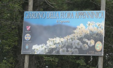 "Dalla fotografia al modello 3D", workshop al giardino della flora appenninica