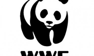 Wwf, il panda incontra i docenti a Guardiaregia per "Urban nature diamo spazio alla natura in città"