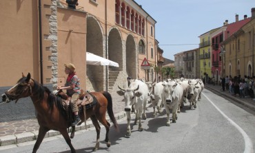 Il ministro Martina inserisce la transumanza nel registro nazionale dei paesaggi rurali