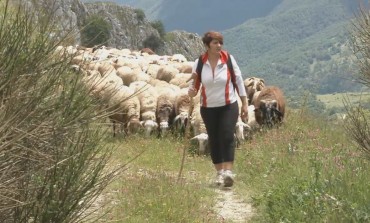 Roccamandolfi, turisti di ogni età sul tratturello con la 'pecorella nera'