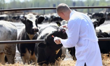 Asrem, organici precari. Coscienza Civica: "A rischio le aziende agricole"