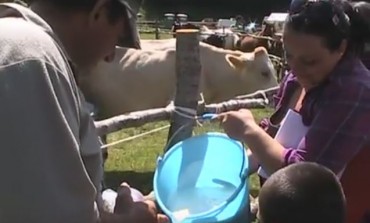 Campitello di Roccamandolfi si prepara alla festa del pastore: domenica 23 luglio