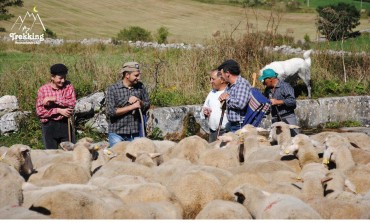 Vivi la transumanza a Pescocostanzo con A.M.A. Trekking : 27 agosto - 2 settembre