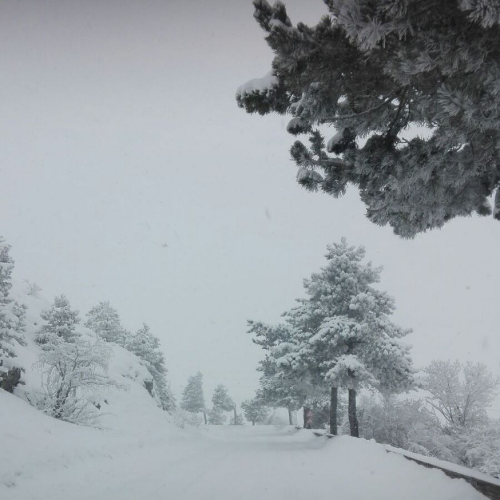 neve2