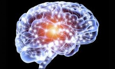Neuromed, inizia la settimana della ricerca per conoscere il cervello