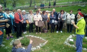 Capracotta, il giardino della flora appenninica apre alla giornata della biodiversità