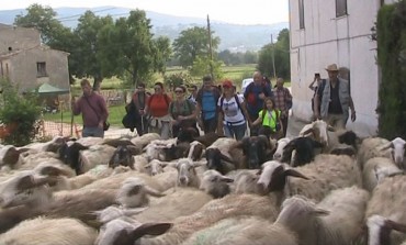 'Pastori del Matese', i veri promoter del marketing territoriale