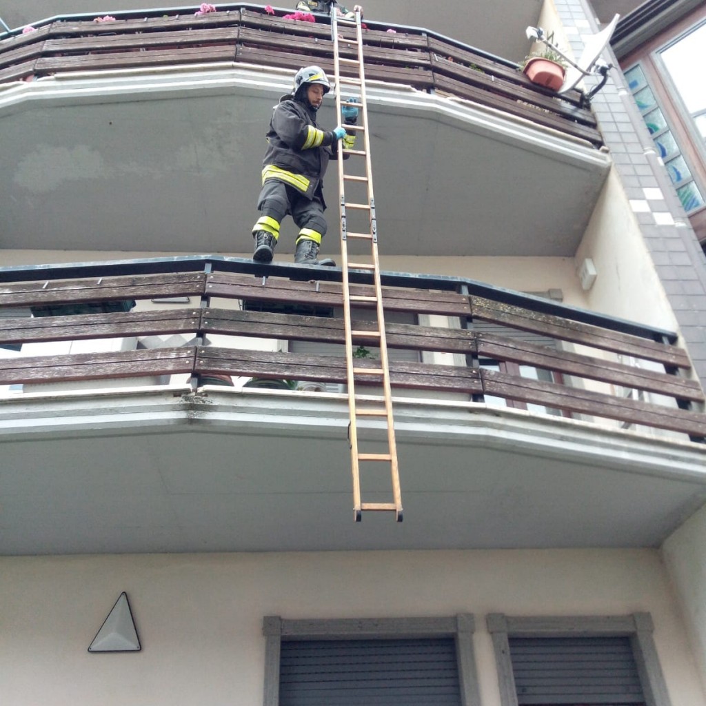 vigili