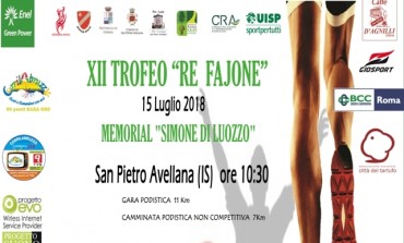 XXII Trofeo 'Re Fajone', tracciato di 11 km: San Pietro Avellana - Castel di Sangro - Vastogirardi