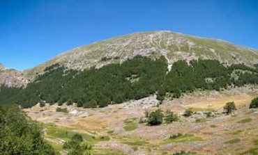 Camminiamo la biodiversità, confermati i cambiamenti climatici sugli ecosistemi di alta montagna