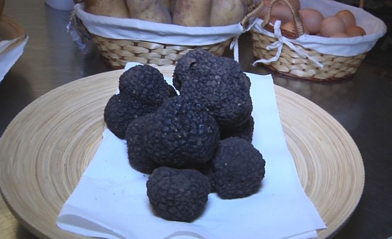 Vastogirardi, verbale salatissimo a cavatore di tartufo: non ha rispettato il calendario regionale