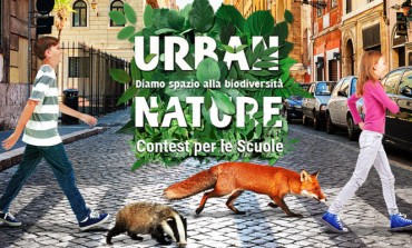 WWF lancia Video Contest di Urban Nature per le scuole: una nuova sfida per aumentare la biodiversità urbana