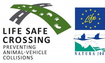 Pescasseroli, presentazione di "Life Safe Crossing": come ridurre il rischio d'investimenti della fauna selvativa