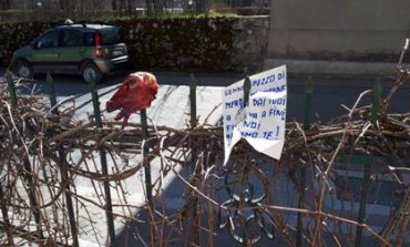 Pescasseroli, minacce al tecnico del Pnalm Andrea Gennai. Carrara:" Atto inqualificabile che colpisce il Parco"