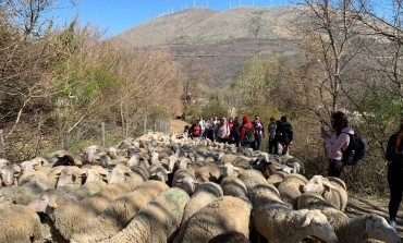 Anversa degli Abruzzi, al via le prenotazioni per la transumanza 2019