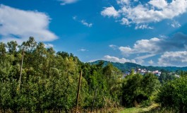 Biostimolanti in agricoltura: come quando e perché, videoconferenza al Serpieri