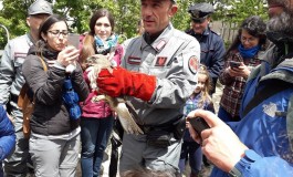 Riapertura visite guidate Oasi WWF Guardiaregia-Campochiaro