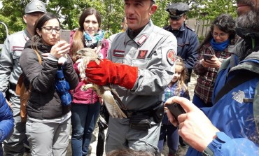 Oasi Wwf Guardiaregia - Campochiaro, grande festa nella riserva regionale molisana