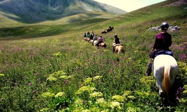 La magia del 'Team Penning' all'Altavia horses di Carovilli, domenica 7 luglio