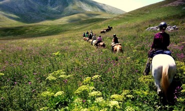 La magia del 'Team Penning' all'Altavia horses di Carovilli, domenica 7 luglio