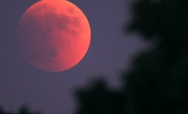 Pietransieri, "La luna rossa rossa" di Rosaria Alterio