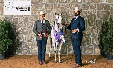 'Championship Appaloosa Horse', Daniele Cerimele alza il vessillo dell'Alto Molise in Olanda