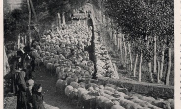 Le donne nella Transumanza, il Regio Tratturo Pescasseroli - Candela. Ieri, oggi e domani