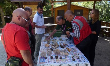 Castel di Sangro, alla Masseria San Iorio inizia il corso per la raccolta dei funghi