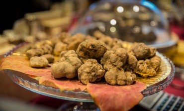 Il tartufo bianco di San Pietro Avellana a FICO Eataly World