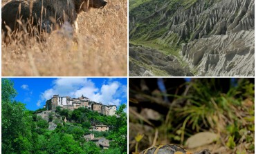 Abruzzo, Wwf: "Riserve regionali fortezze per ambiente ed economia"