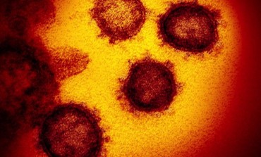 Coronavirus, primo caso in Molise