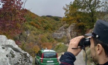 Uccidono un capriolo: due bracconieri scoperti e denunciati dai Carabinieri Forestali