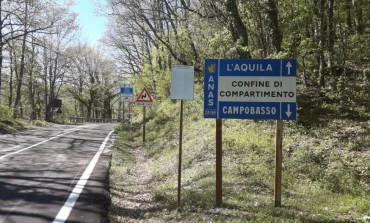 Alfedena, a San Francesco i Carabinieri Forestali sequestrano cavalli abbandonati