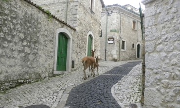 Civitella Alfedena: un borgo da favola in Abruzzo per l'autunno