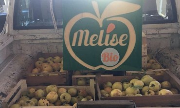 Le Mele degli Orsi, la Melise consegna 12 cassette di mele biologiche