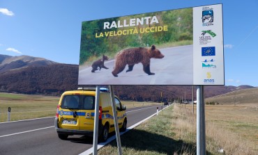 Parco Nazionale della Majella e Anas, impedire incidenti con animali selvatici