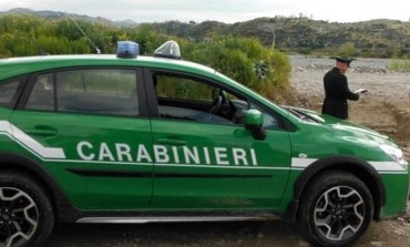 Sversava liquami nel canale, Carabinieri Forestali acciuffano allevatore