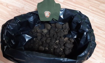 Raccoglie 5 kg di tartufo nel Parco, fermato e denunciato dai Guardiaparco