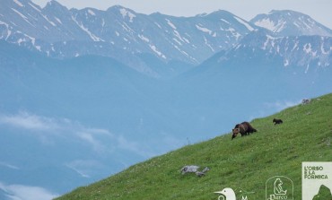 L'Orso e la Formica è il primo progetto multimediale in Italia interamente dedicato all'orso bruno marsicano