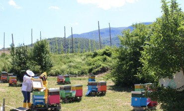 Arnie Narranti a Castel del Giudice, si celebra la biodiversità culturale