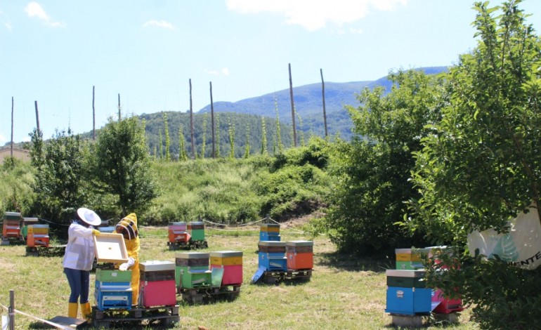 Arnie Narranti a Castel del Giudice, si celebra la biodiversità culturale