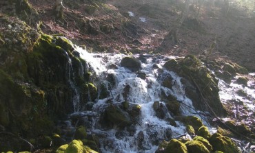 Passeggiata da Opi a Val Fondillo sul Regio Tratturo tra poesie, narrazioni e canti