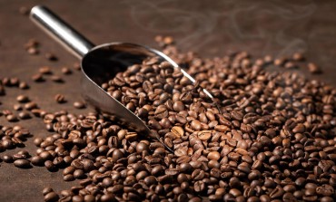 L'assunzione di caffeina riduce il rischio di sviluppare la malattia di Parkinson