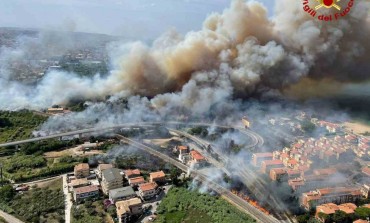 Incendi Boschivi: rivedere le politiche di gestione dei territori, aree boscate sempre più abbandonate